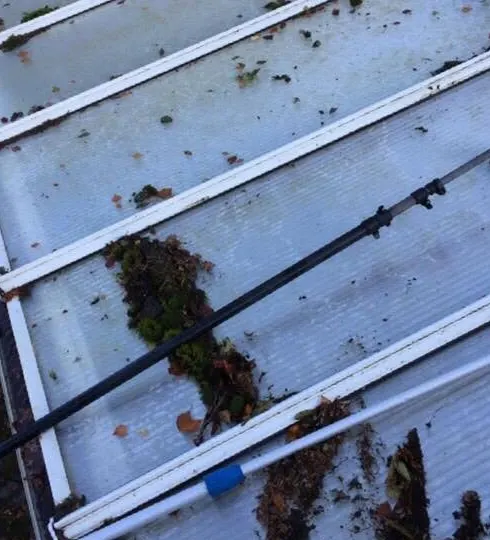Conservatory roof before cleaning, covered in moss and leaves